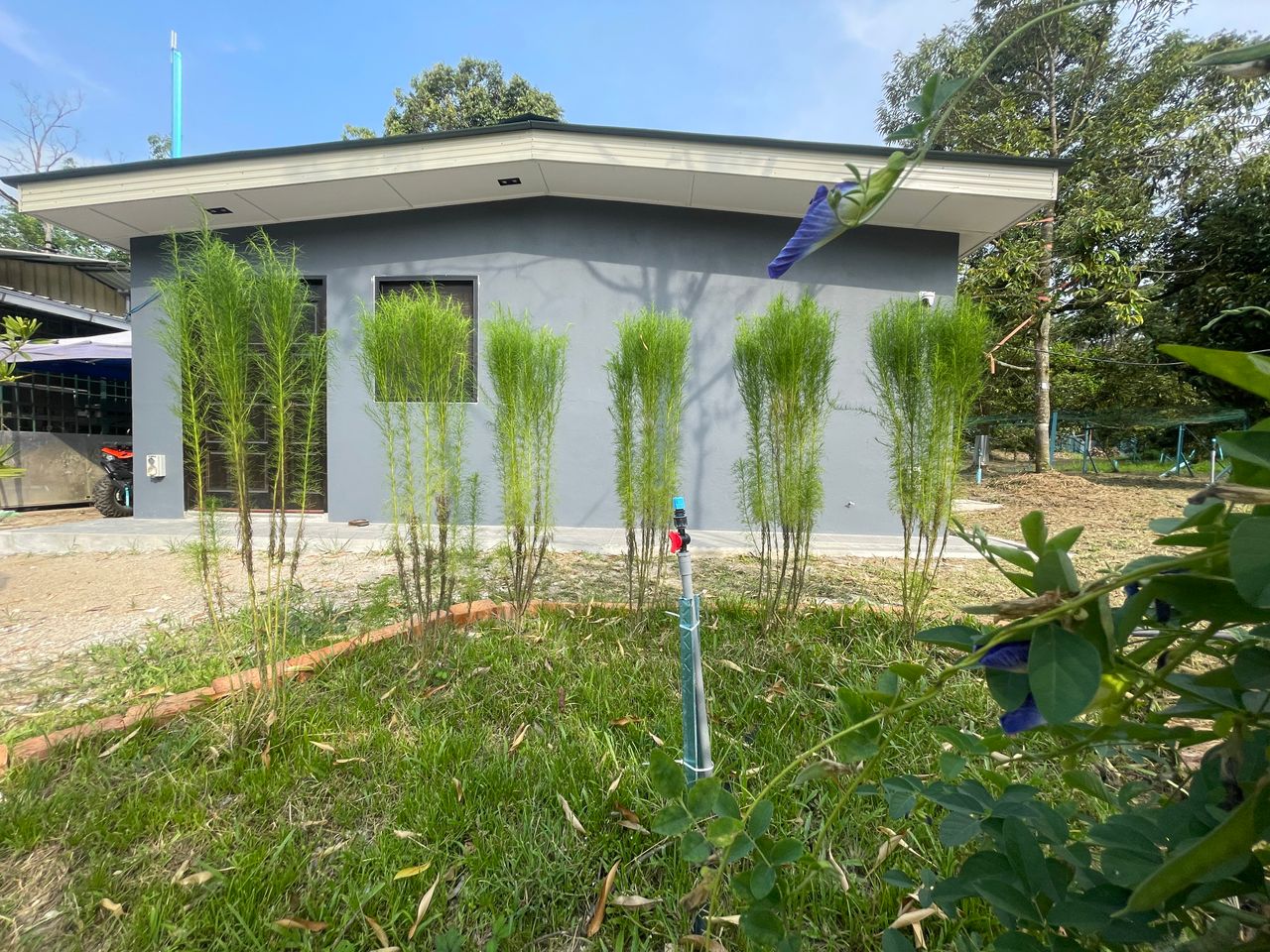 Raub Private Ranch & Musang King Durian Farm For Sale