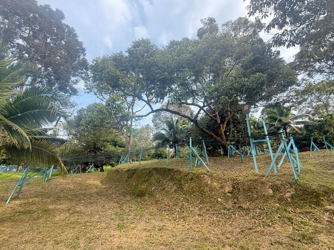 Raub Private Ranch & Musang King Durian Farm For Sale