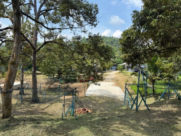 Raub Private Ranch & Musang King Durian Farm For Sale