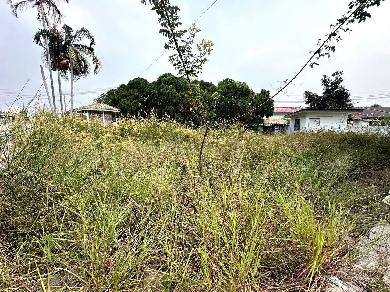 Kampung Lapan 2 Storey Corner Terrace House For Sale – Huge Extra land